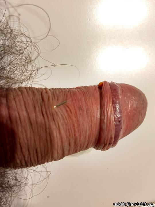 Adult image from Dick88