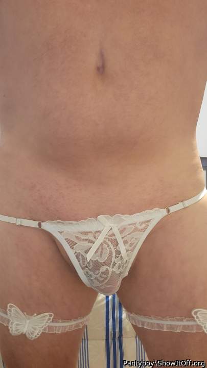 Adult image from Pantyboy