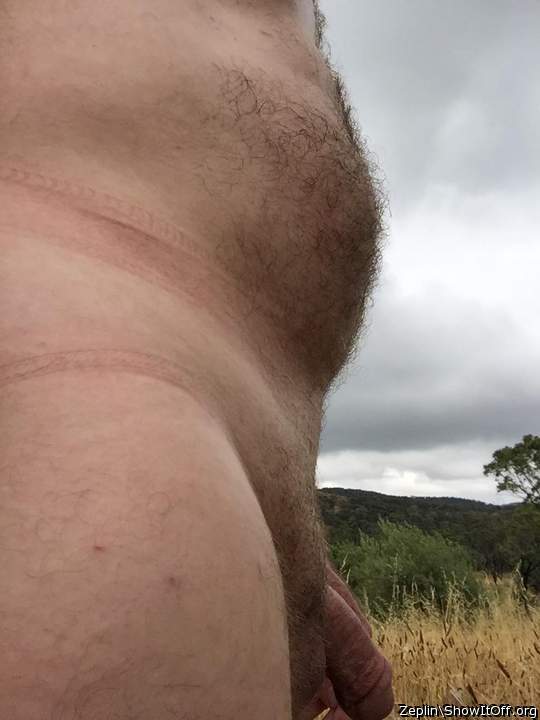 Adult image from Zeplin