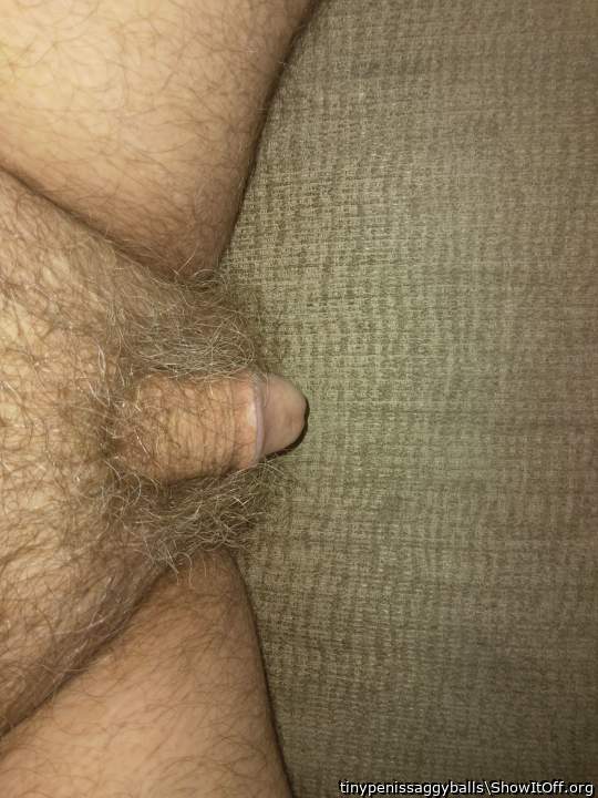 Adult image from tinypenissaggyballs