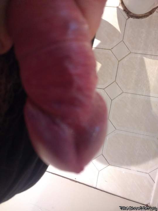Adult image from Tillla