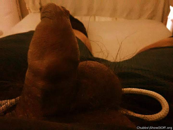 Adult image from Chubbs