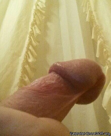 Adult image from *Humpy_Rugmuncher