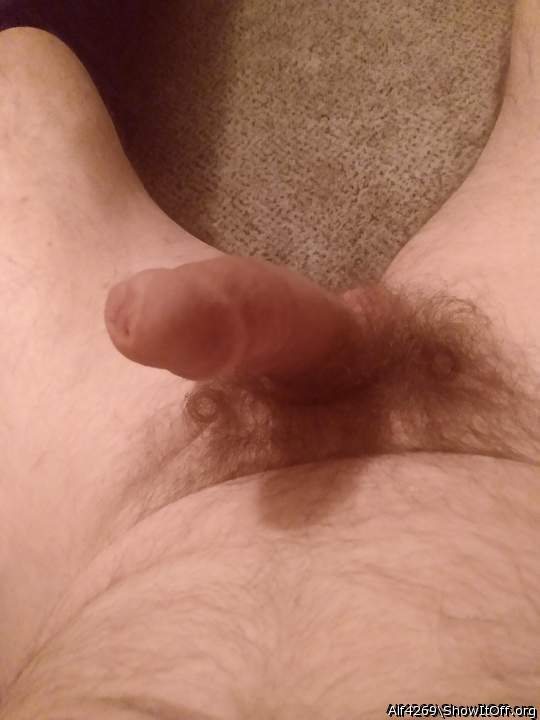 Adult image from Alf4269
