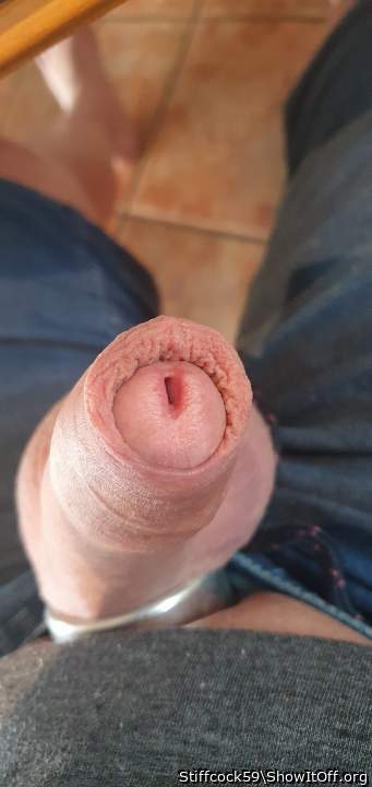 Adult image from Stiffcock59