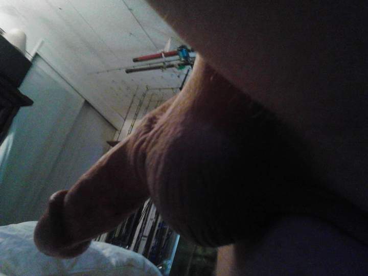 Adult image from fish4free