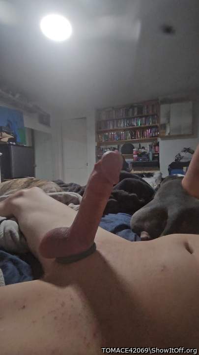Adult image from TOMACE42069