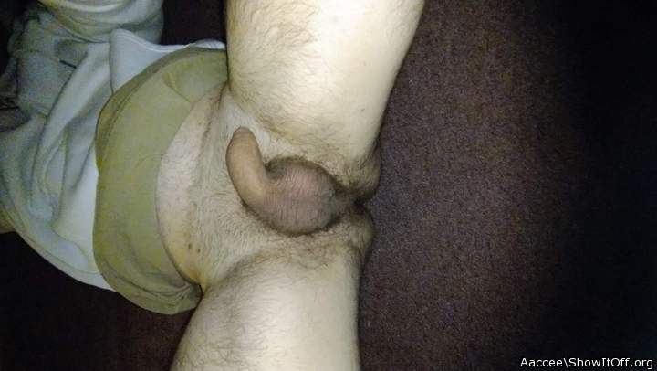 Adult image from Aaccee