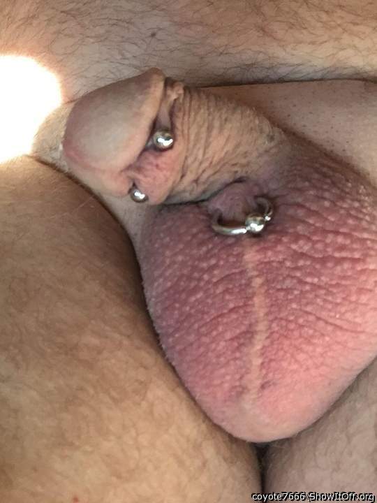 Adult image from coyote7666