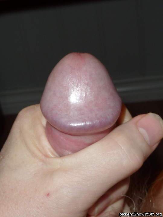 Adult image from pikken
