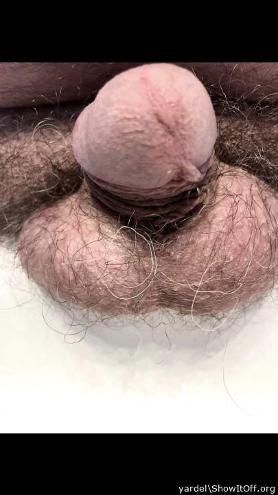 Adult image from yardel