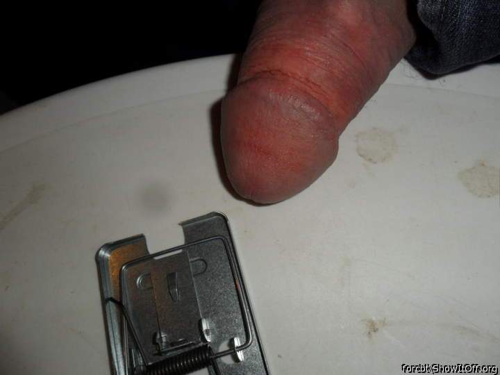 Adult image from forcbt