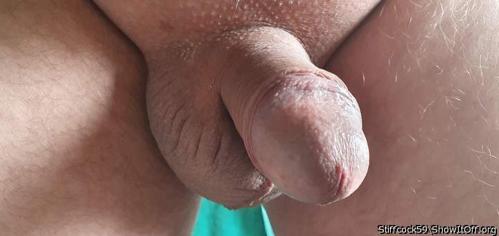 Adult image from Stiffcock59