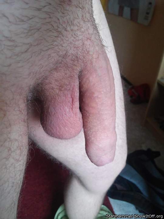 Adult image from Stahlhammer