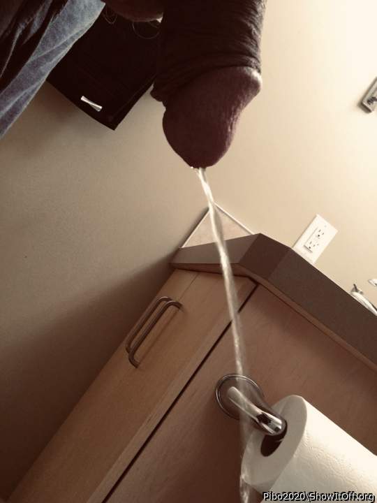 Adult image from Pibo2020