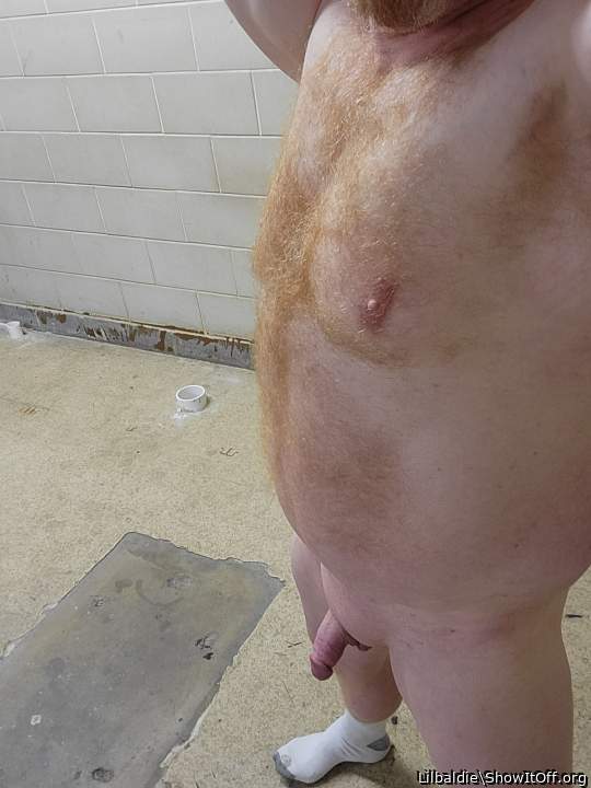 Adult image from Lilbaldie