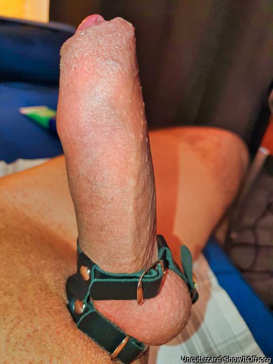 Adult image from UncutLizard