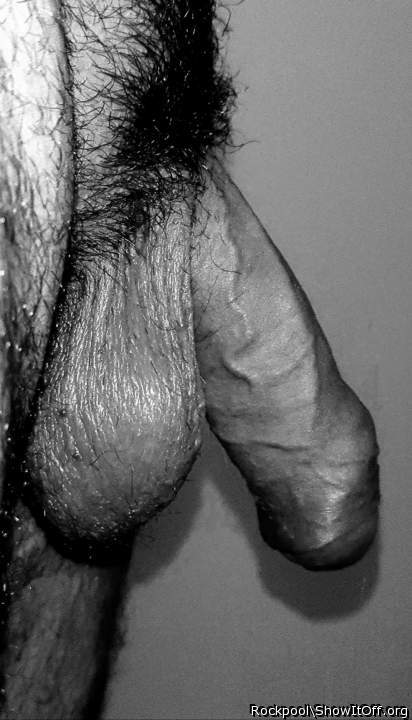 Adult image from Rockpool