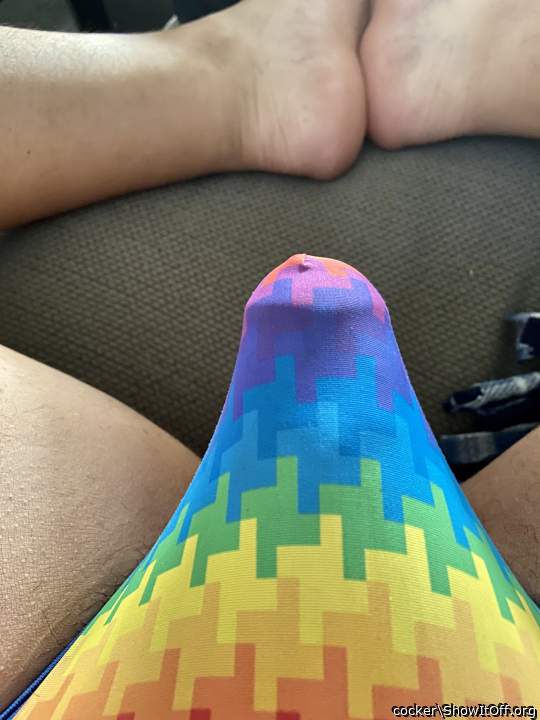 Adult image from cocker