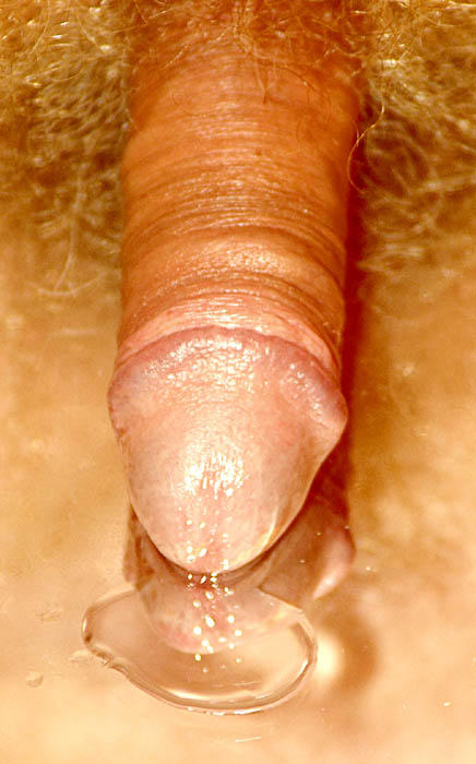 Adult image from slipper