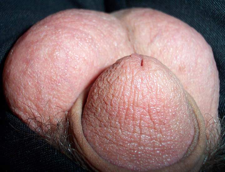 Adult image from lilsoftee