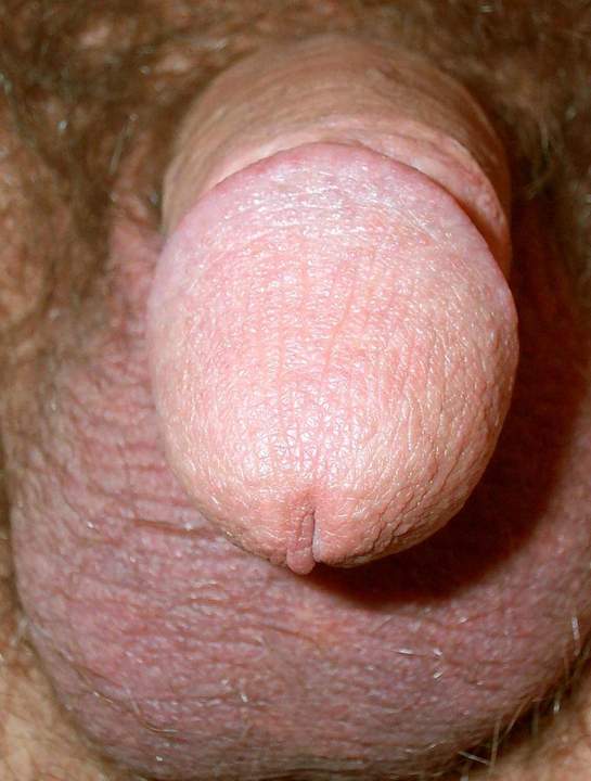 Adult image from lilsoftee