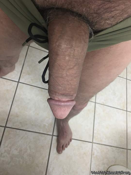 Adult image from Pibo2020