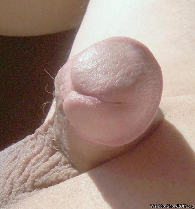 Adult image from Walddo