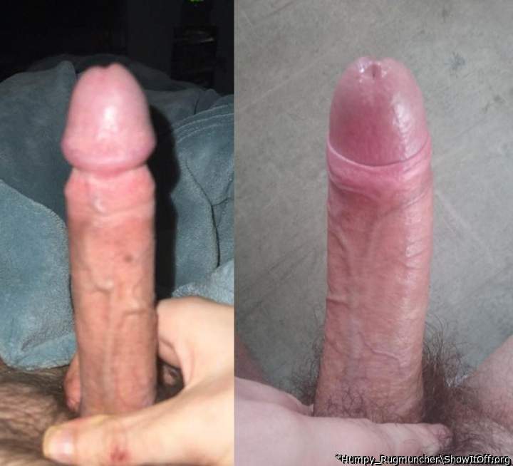 Adult image from *Humpy_Rugmuncher