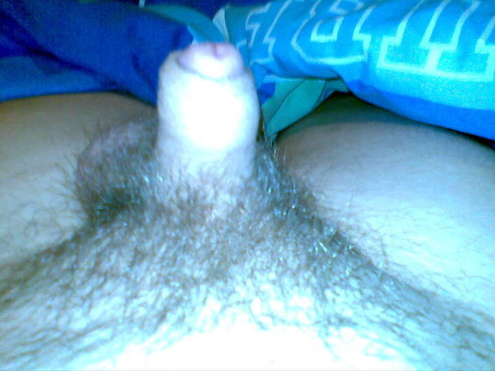 Adult image from 450