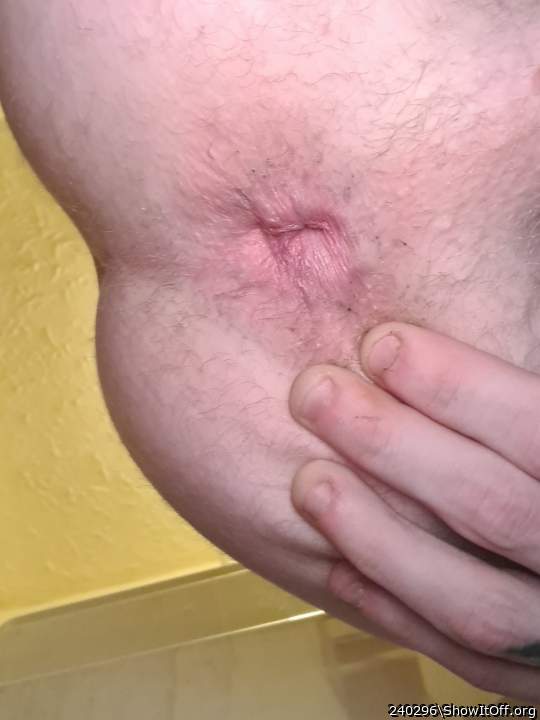 Adult image from 240296