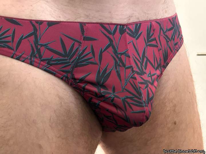 Adult image from Scuttle