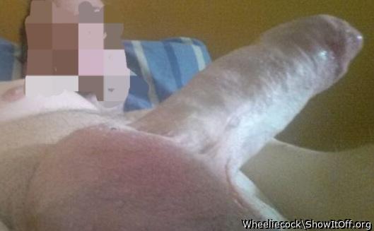 Adult image from Wheeliecock