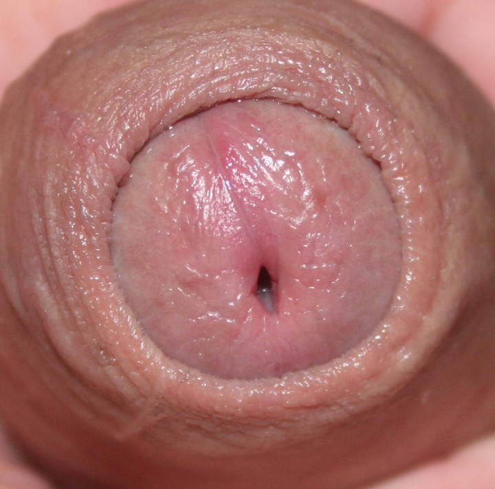Adult image from nylonlover
