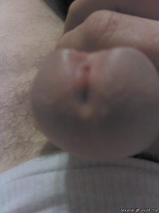 Adult image from texasal