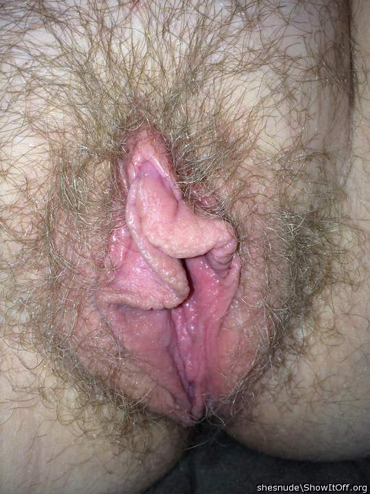 Perfekte Pussy   