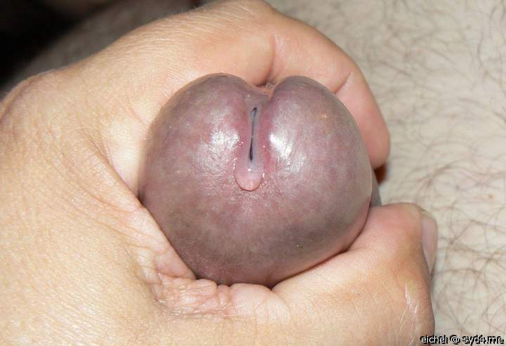    lecker das tr�pfchen