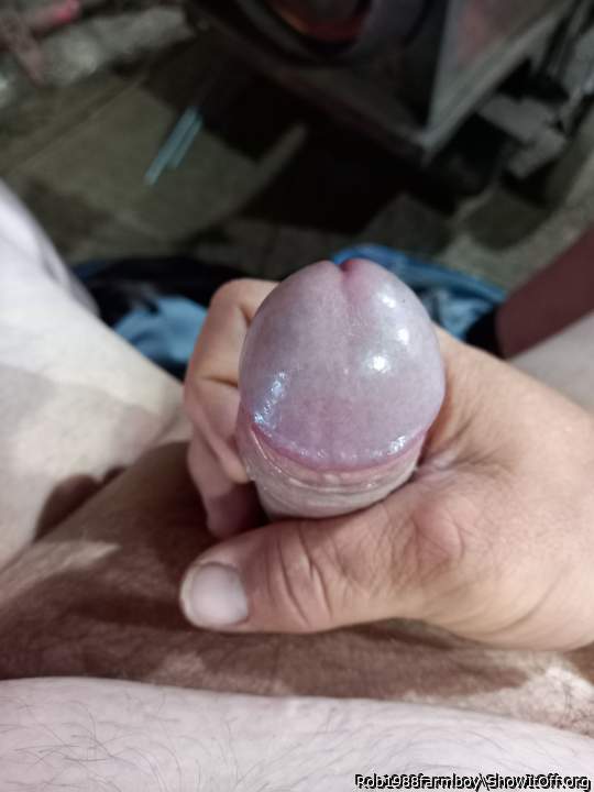 Adult image from Rob1988farmboy