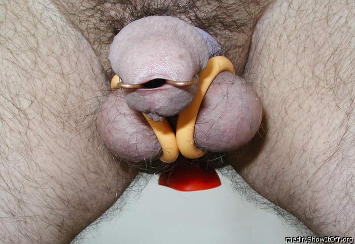 Adult image from medir