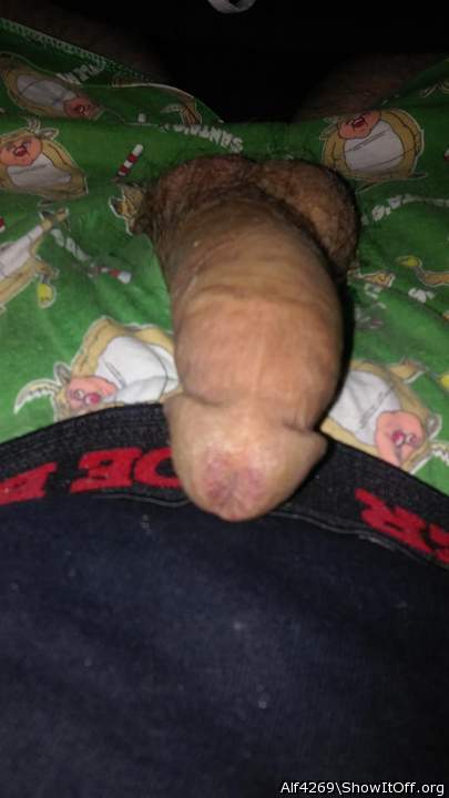 Adult image from Alf4269
