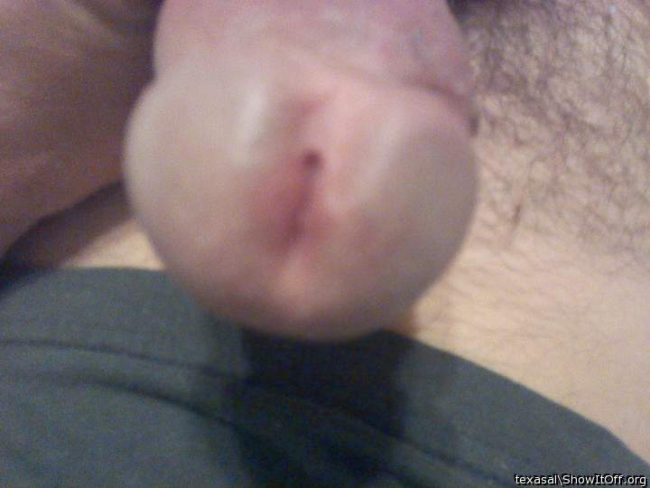Adult image from texasal