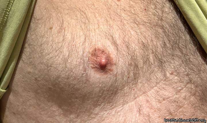Adult image from Scuttle
