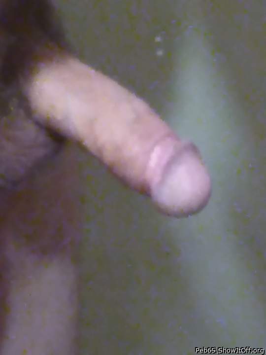 Adult image from Peb65