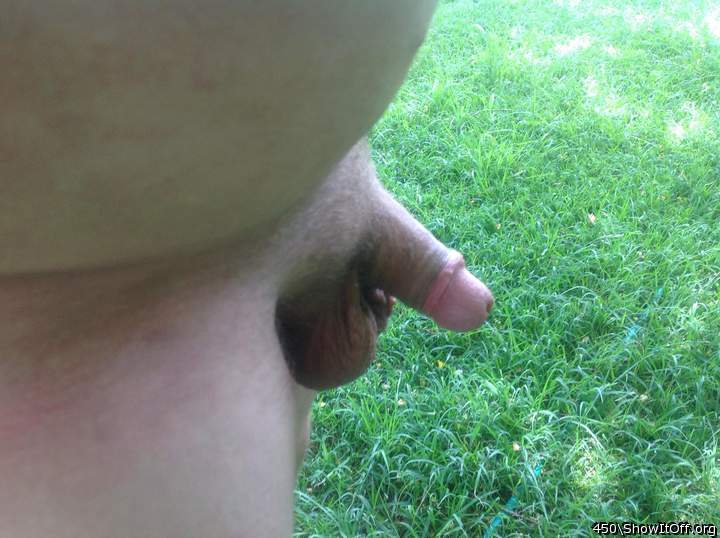 Adult image from 450