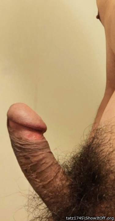 Adult image from tatz1745
