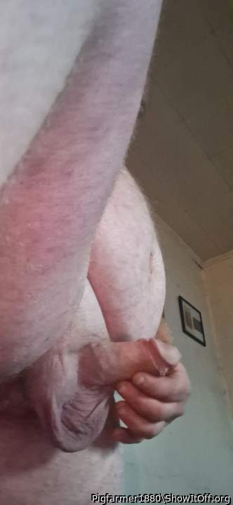 Adult image from Pigfarmer1980