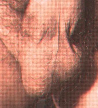 Adult image from berty35