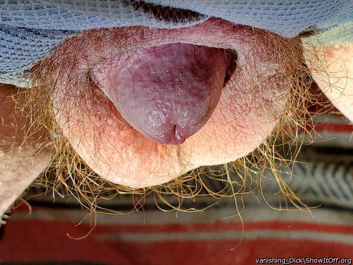 Adult image from vanishing_Dick