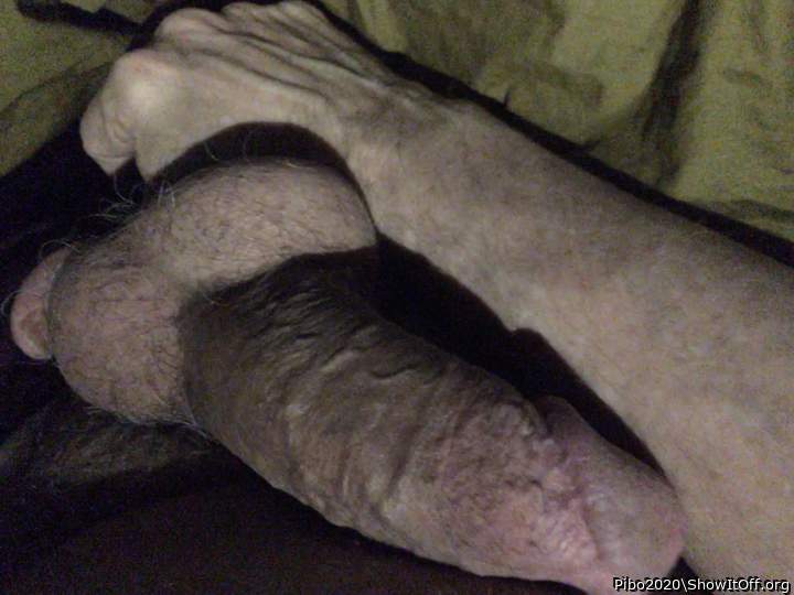 Adult image from Pibo2020