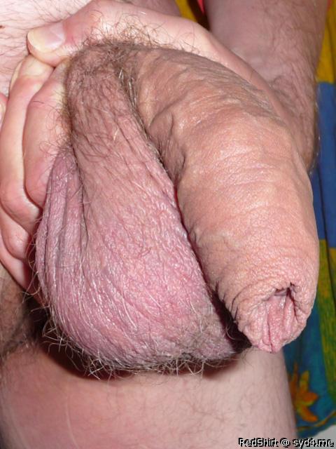 Adult image from RedShirt